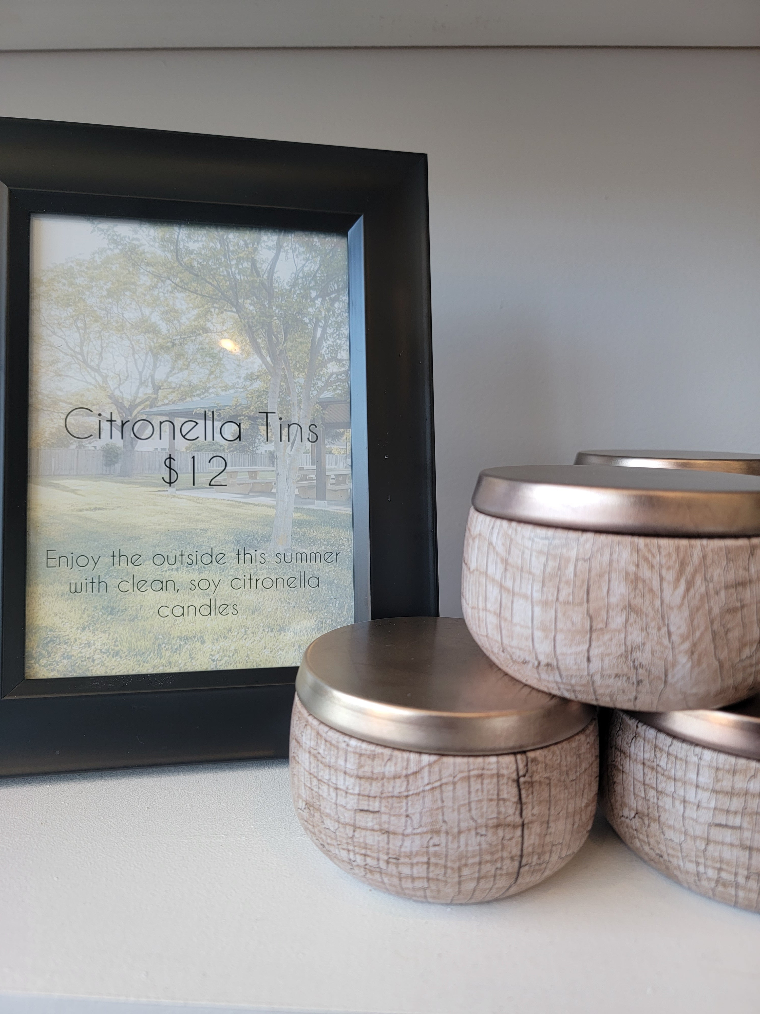 Citronella Tins bug, bear & bean candles