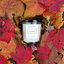 Load image into Gallery viewer, Autumn
